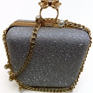 Silver Fancy Clutch